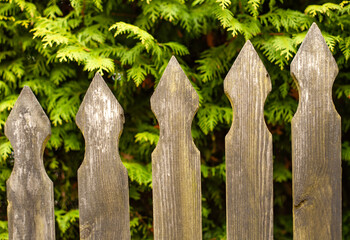 Fence © Maciej Bonk