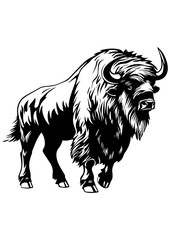 Black and white vector bison illustration. Wild animal line art for tattoo, logo, engraving, laser cutting, decoration, and design projects. Buffalo symbol of strength and freedom