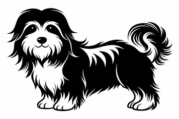 havanese line art silhouette vector illustration