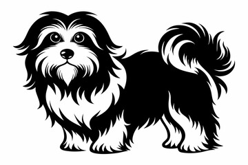 havanese line art silhouette vector illustration