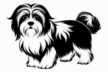 havanese line art silhouette vector illustration