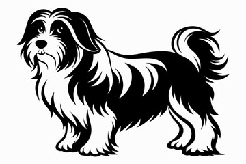havanese line art silhouette vector illustration