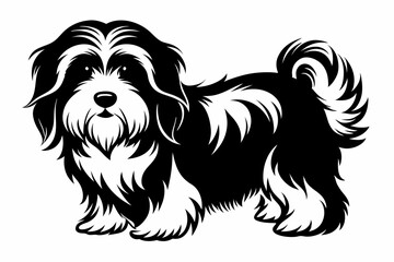 havanese line art silhouette vector illustration
