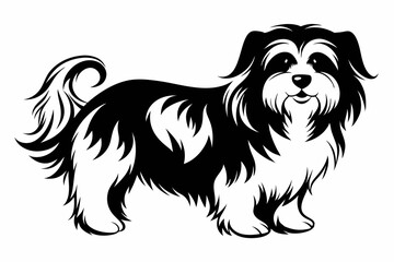 havanese line art silhouette vector illustration