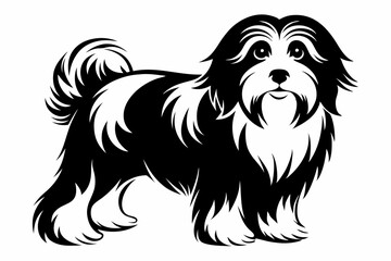 havanese line art silhouette vector illustration