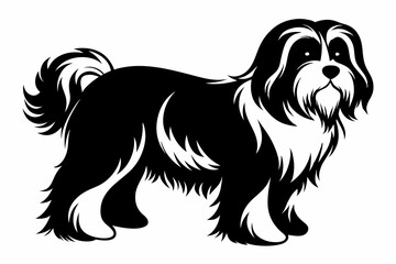 havanese line art silhouette vector illustration