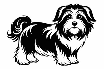 havanese line art silhouette vector illustration