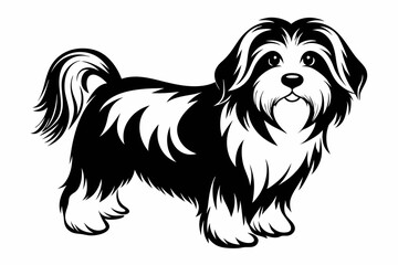 havanese line art silhouette vector illustration