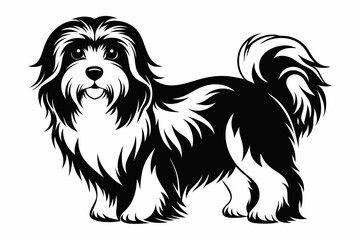 havanese line art silhouette vector illustration