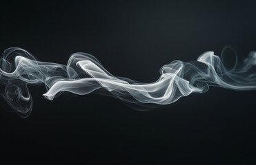 Obraz premium A wisp of white smoke swirls against a dark background, forming the shape of an animal. The delicate, translucent wisps dance gracefully on their own, creating a captivating image against a pure black