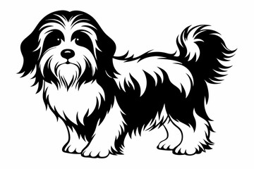havanese line art silhouette vector illustration