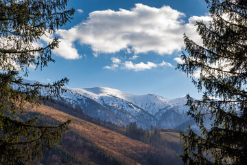 Spring landscape with snowy mountains in the background. View of The Mala Fatra national park in Slovakia, Europe. Snow-capped mountains framed by evergreen trees against a blue sky with white clouds.