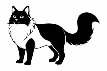 Obraz premium himalayan cat line art silhouette vector illustration