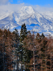 Snowy forest and rugged volcanic peaks in winter (Nagano, Japan)