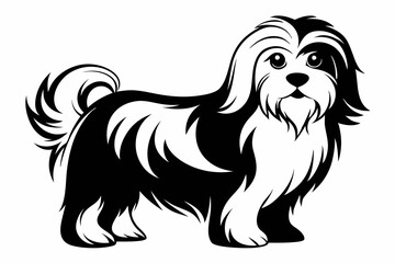 maltese dog line art silhouette vector illustration