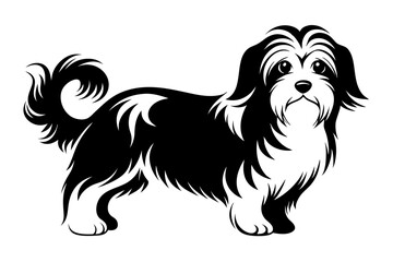maltese dog line art silhouette vector illustration