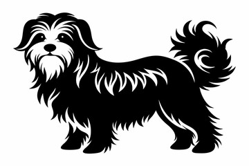 maltese dog line art silhouette vector illustration