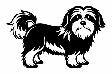 maltese dog line art silhouette vector illustration