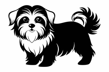maltese dog line art silhouette vector illustration