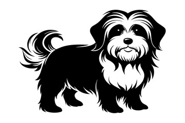 maltese dog line art silhouette vector illustration