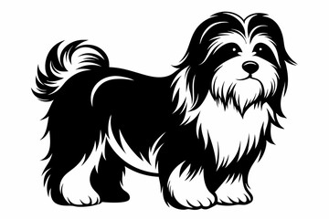 maltese dog line art silhouette vector illustration