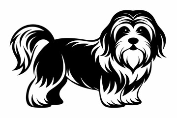 maltese dog line art silhouette vector illustration