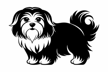 maltese dog line art silhouette vector illustration