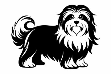 maltese dog line art silhouette vector illustration