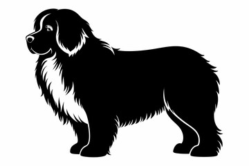 newfoundland dog line art silhouette vector illustration