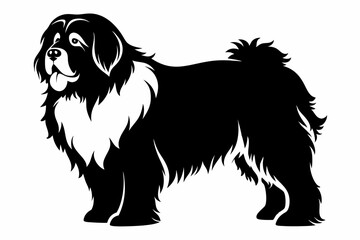 newfoundland dog line art silhouette vector illustration