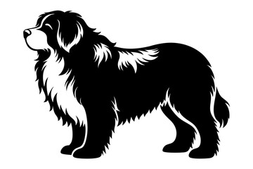 newfoundland dog line art silhouette vector illustration