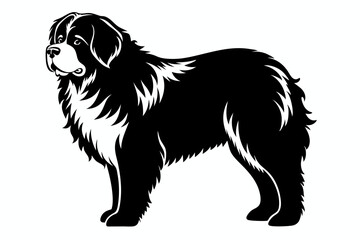 newfoundland dog line art silhouette vector illustration