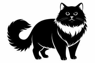 persian cat line art silhouette vector illustration