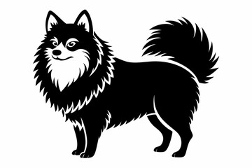 pomeranian line art silhouette vector illustration