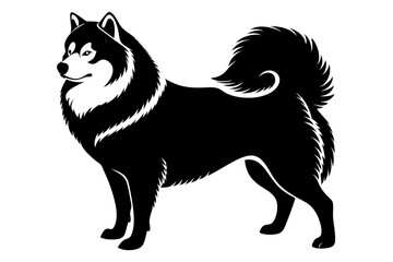 samoyed dog line art silhouette vector illustration