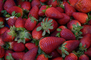 Freshly harvested strawberries in a vibrant market during the summer season