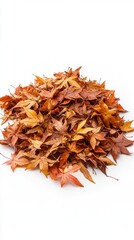 Obraz premium A Pile Of Autumnal Leaves Displayed On A White Backdrop