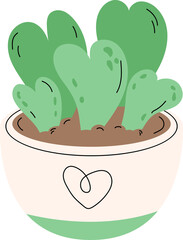 heart green succulent in a pot