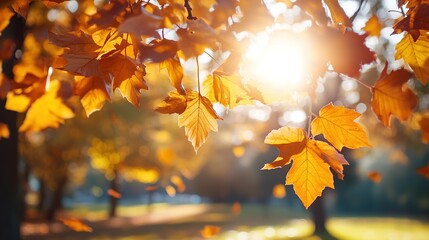 Vibrant autumn leaves in a serene park, capturing nature's quiet beauty and seasonal transition.
