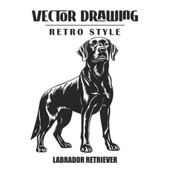 Black and White Labrador Retriever Dog Vector Illustration Isolated