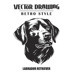 Black and White Labrador Retriever Dog Vector Illustration Isolated