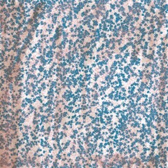 seamless pattern with blue flowers