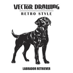 Black and White Labrador Retriever Dog Vector Illustration Isolated