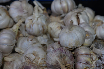 Freshly harvested garlic bulbs piled together in a rustic market, showcasing their natural beauty and textures