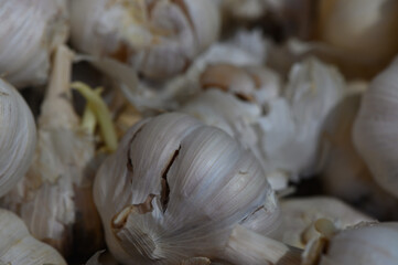 Aromatic garlic bulbs resting quietly in a rustic kitchen setting