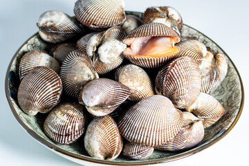Scapharca subcrenata refers to the same ark clam as Anadara kagoshimensis. It can be found in shallow water in temperate parts of the west Pacific Ocean and is cultivated in China, Japan, and Korea 