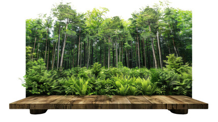 Empty wooden table showing lush green forest with ferns on transparent background