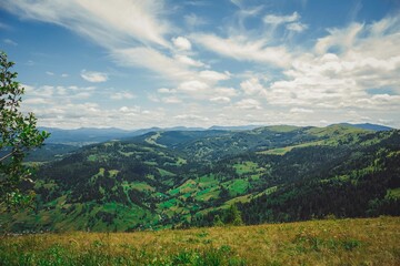 mountains, nature, ridge, mountain ranges, flowers, sky