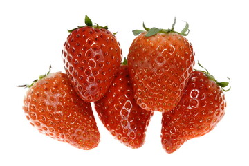 新鮮なイチゴ　みおしずく　滋賀県産