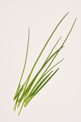 A top-down shot of a small bunch of fresh chives on a white background